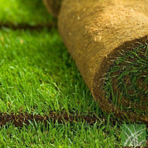 Turf Example Turf - Coventry Turf & Landscaping